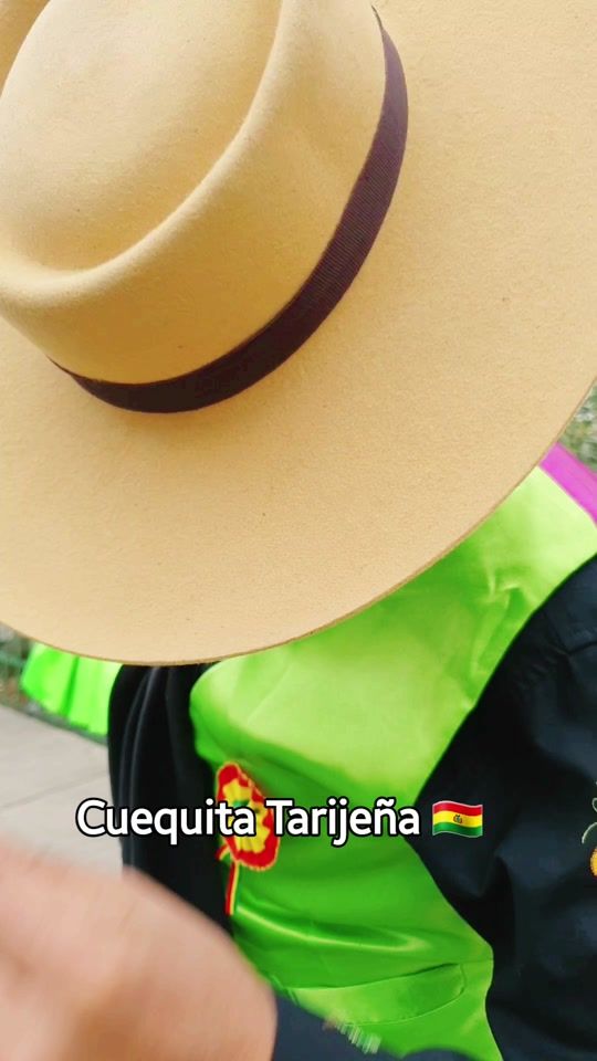 TikTok video thumbnail by bafott_bolivia