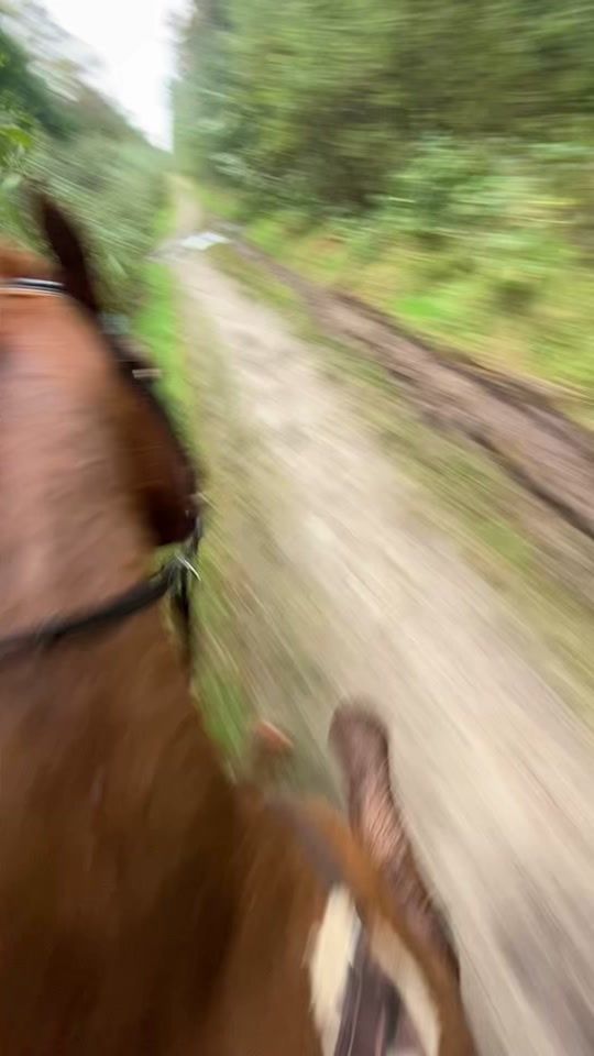 TikTok video thumbnail by mayrasophie_16