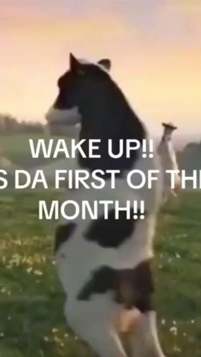 TikTok video thumbnail by _a.d.e.l.k.a_1