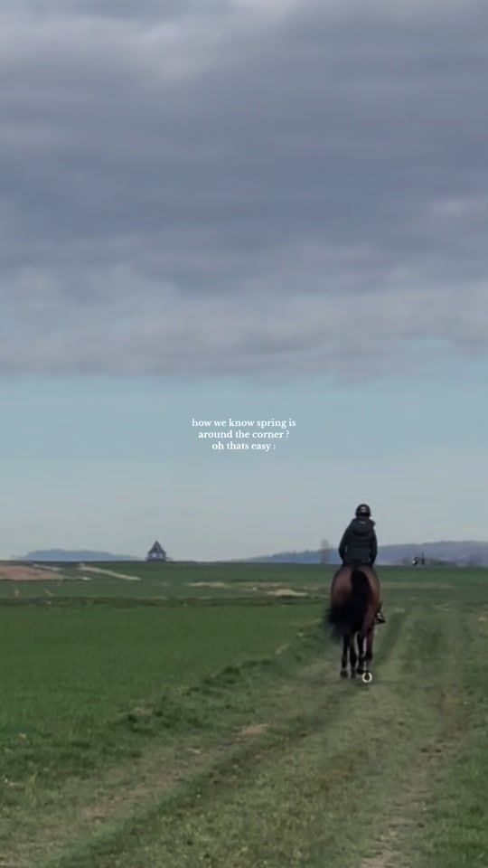 TikTok video thumbnail by franziii.ths