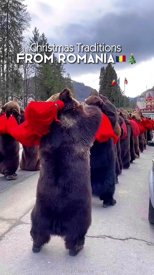 TikTok video thumbnail by romaniaexplores