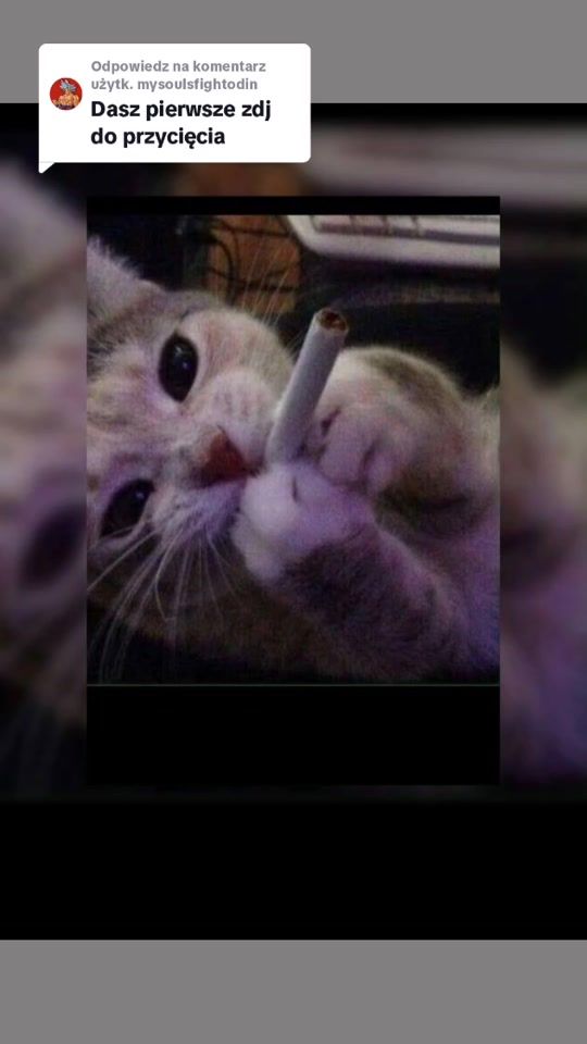 TikTok video thumbnail by maj_.usia