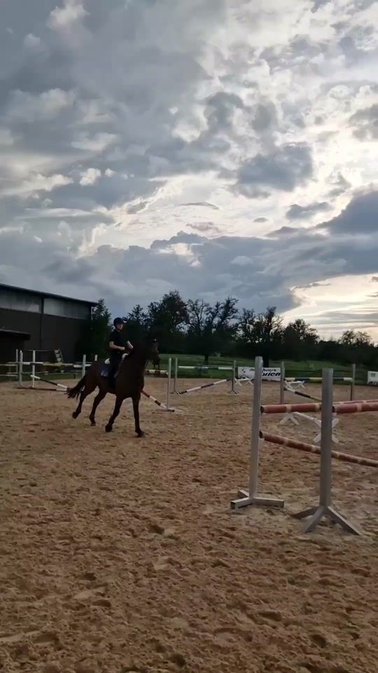 TikTok video thumbnail by ciara.dtm