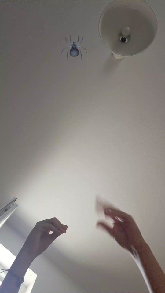 TikTok video thumbnail by hamster9161
