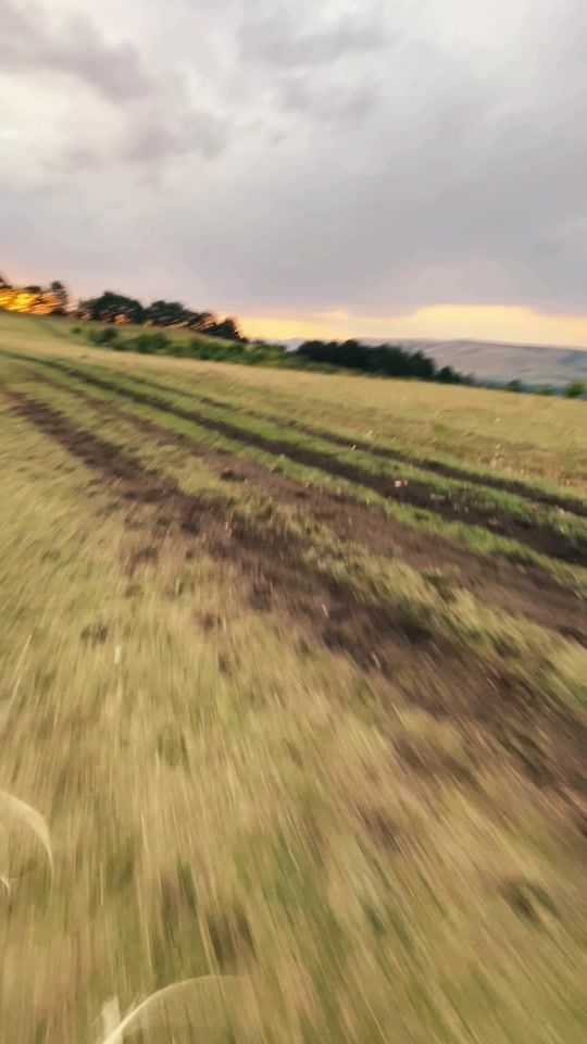 TikTok video thumbnail by gaby_briciu_