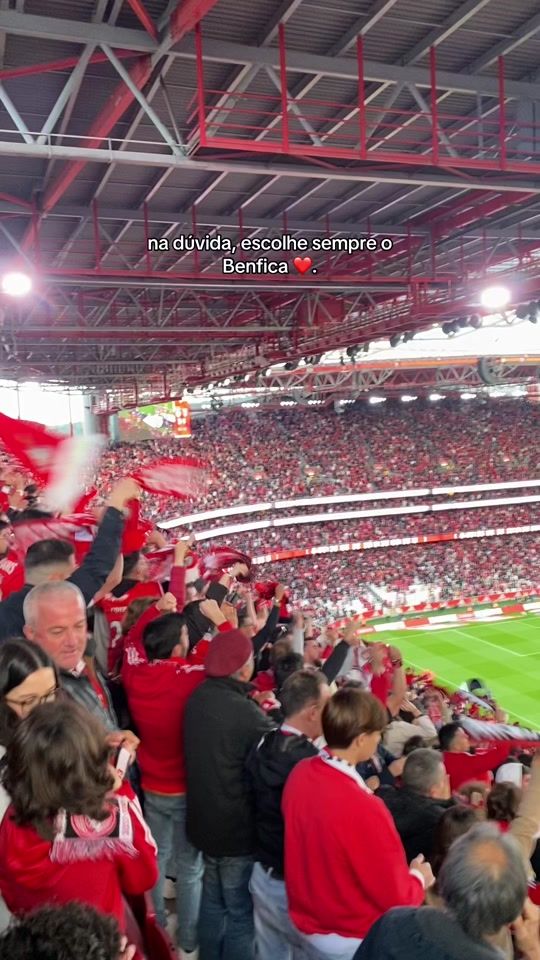 TikTok video thumbnail by _marianaseabra___