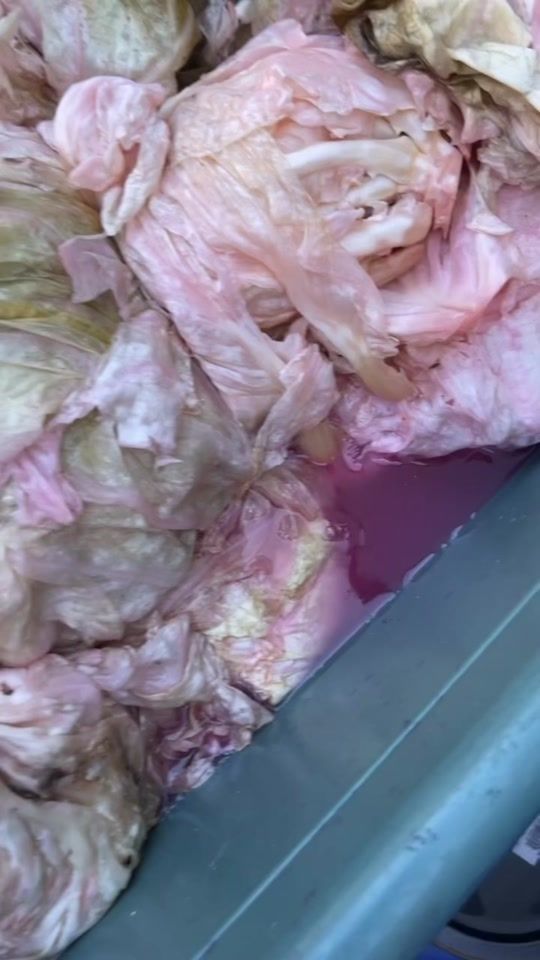 TikTok video thumbnail by dragosneacsa7