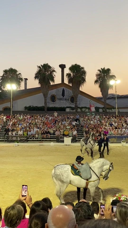 TikTok video thumbnail by carmenjunqueram