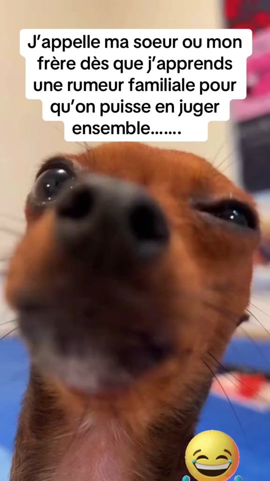 TikTok video thumbnail by splitzzz__