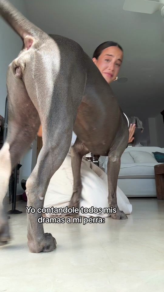 TikTok video thumbnail by babiigv