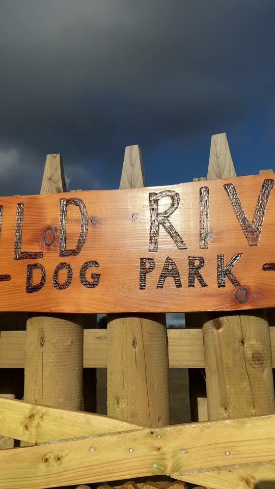 TikTok video thumbnail by wildriverdogpark