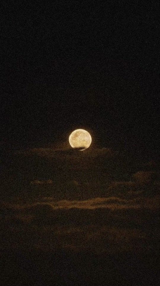 TikTok video thumbnail by tuchadnya