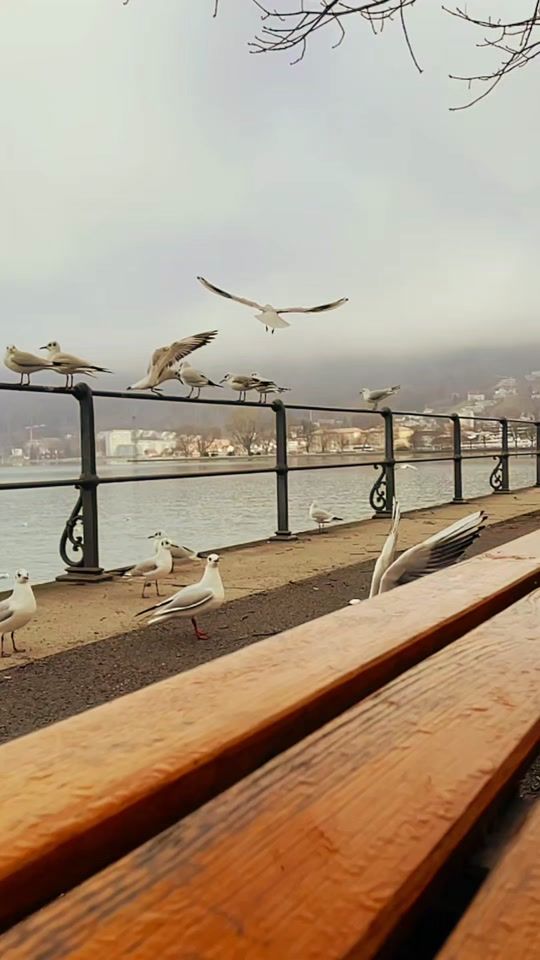 TikTok video thumbnail by eva_gul_57_06
