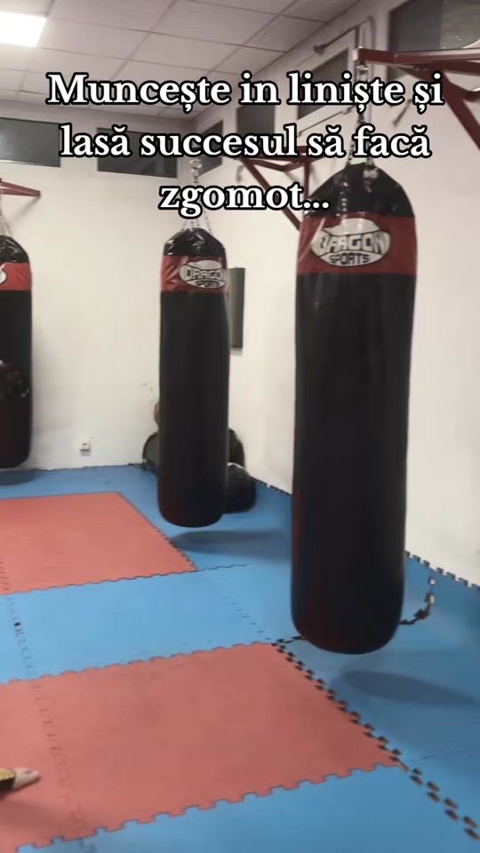 TikTok video thumbnail by alexpopescu102