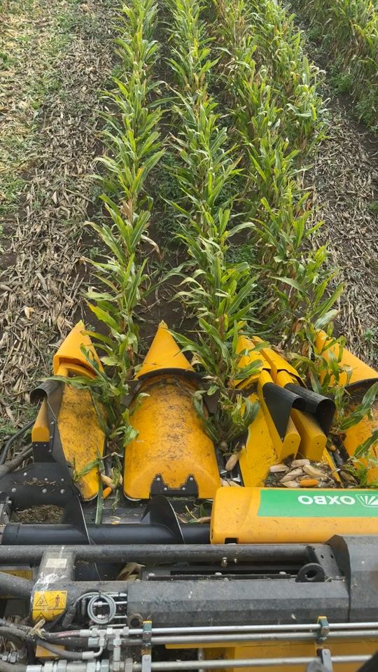 TikTok video thumbnail by agrisudloire
