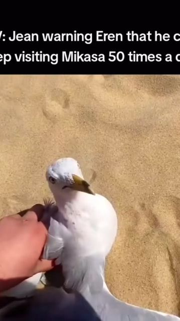 TikTok video thumbnail by ekokeko13
