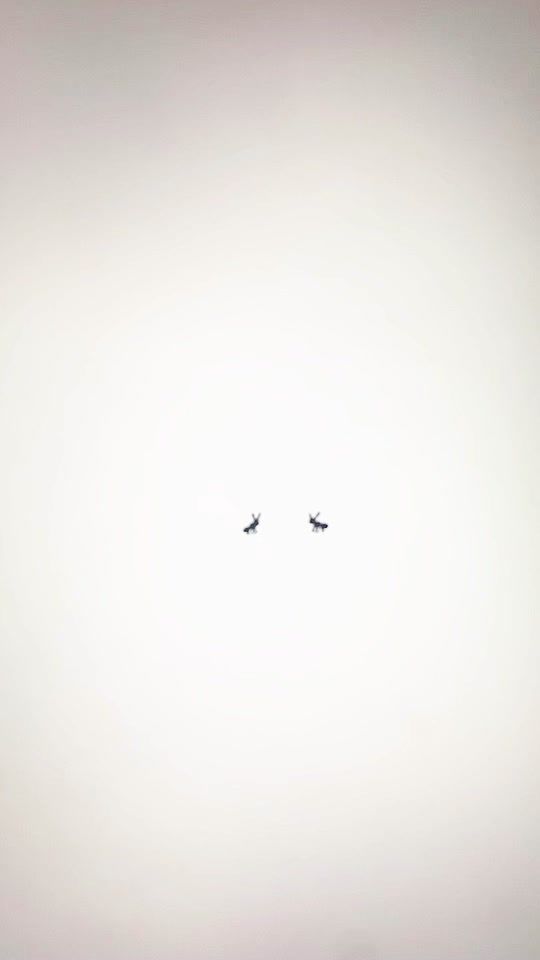 TikTok video thumbnail by eupholie_