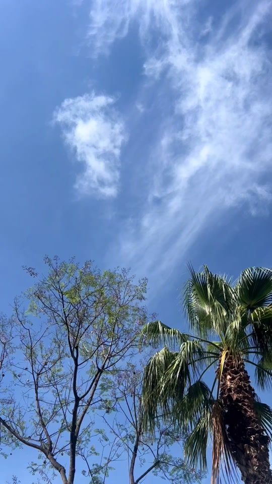 TikTok video thumbnail by rebeccaallison8