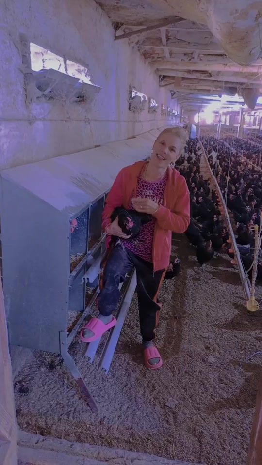 TikTok video thumbnail by rodicatancau
