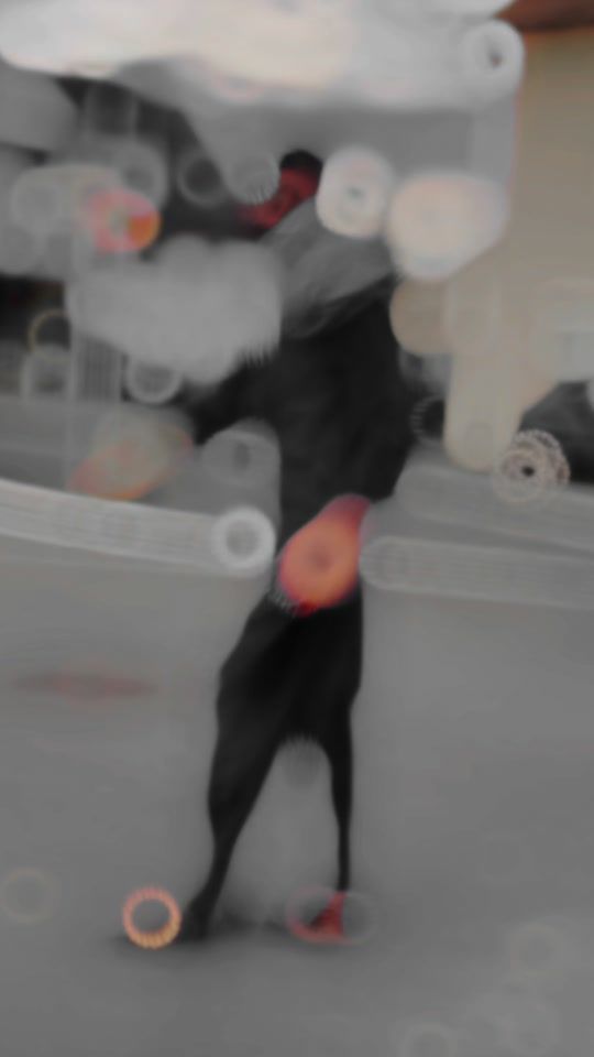 TikTok video thumbnail by wasifgujrati