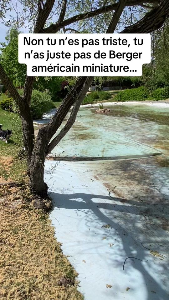 TikTok video thumbnail by vetlunaa