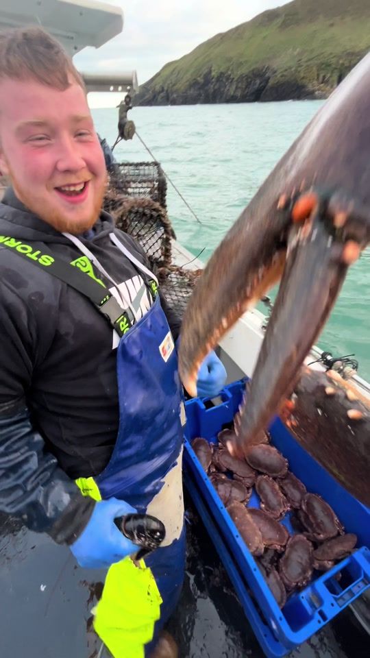 TikTok video thumbnail by nickylewis69