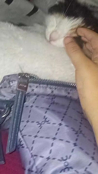 TikTok video thumbnail by giuliettarago