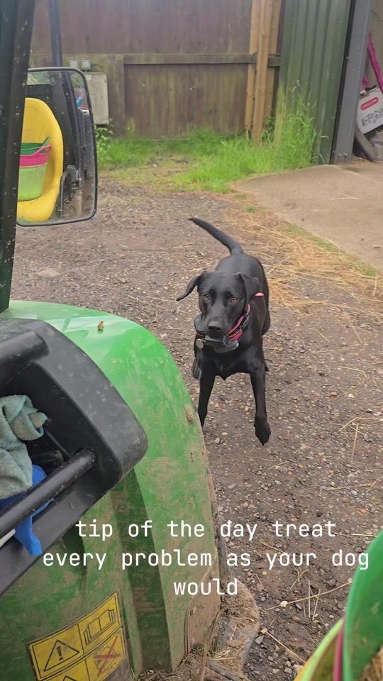 TikTok video thumbnail by labruedor