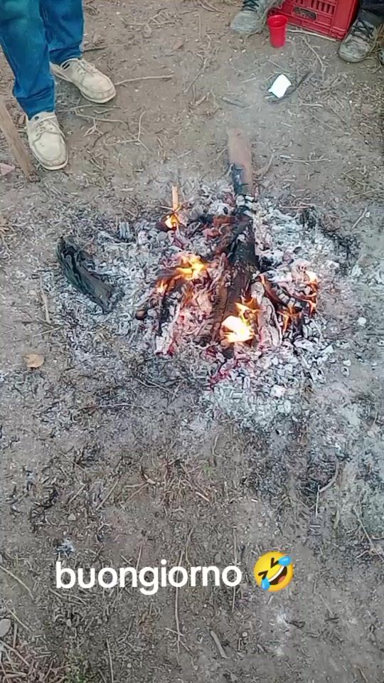 TikTok video thumbnail by alexbasso46