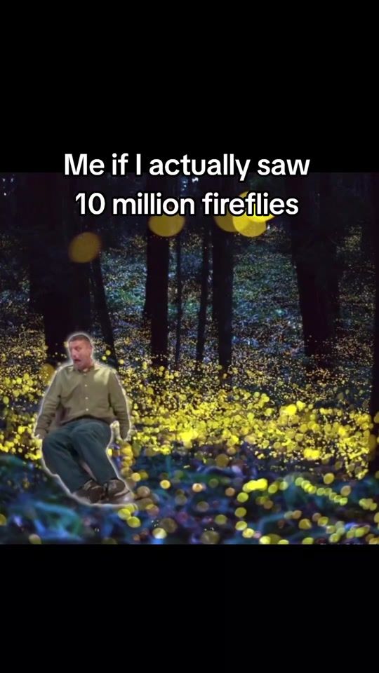 TikTok video thumbnail by backinmyplay