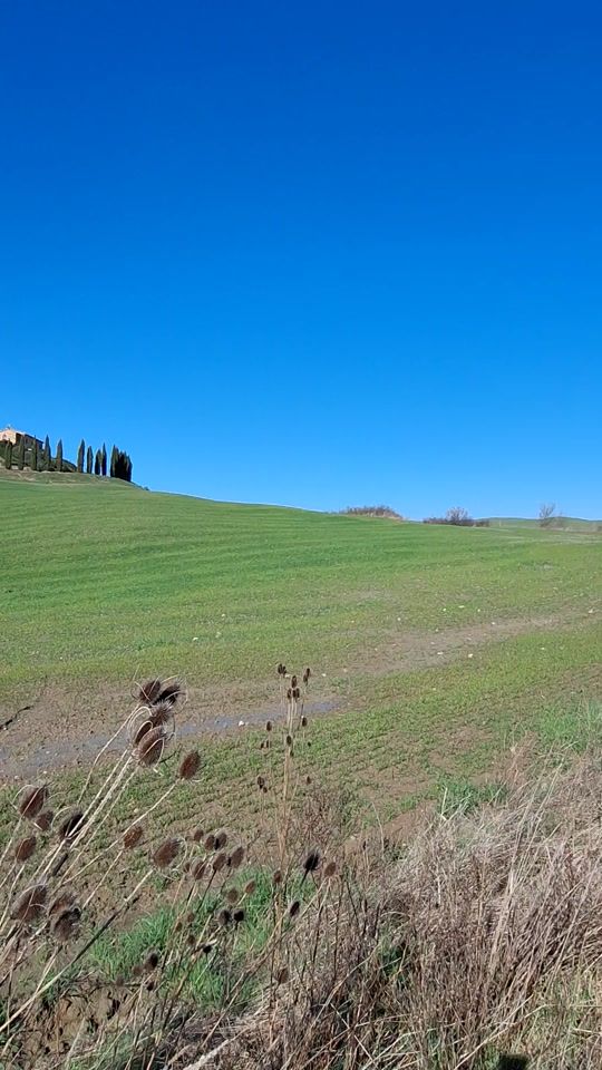 TikTok video thumbnail by dommetiktok