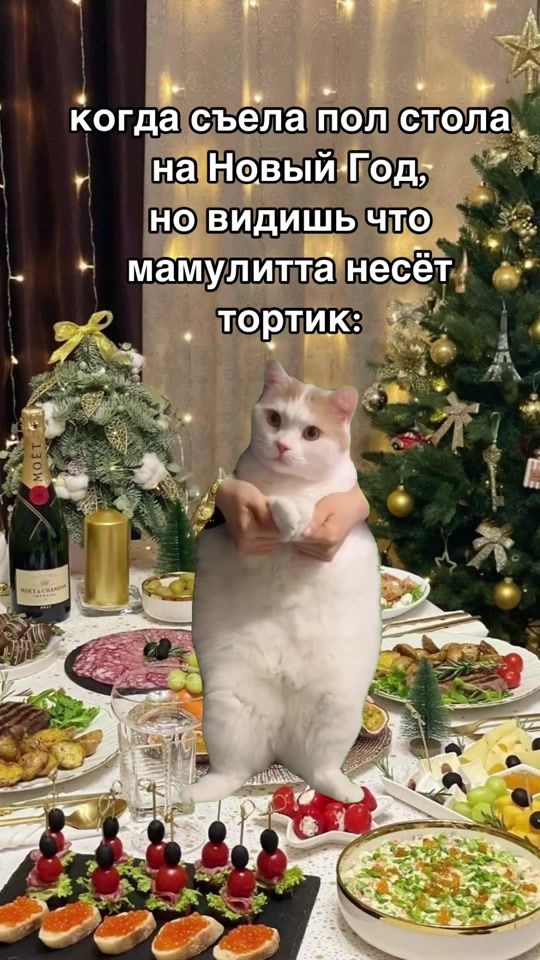 TikTok video thumbnail by r_.t._y