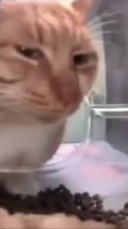 TikTok video thumbnail by vortexmotions