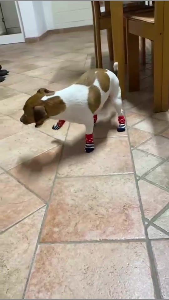 TikTok video thumbnail by cinziasapo