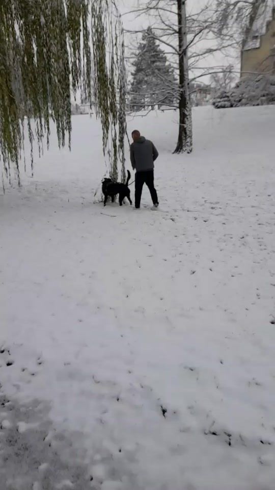 TikTok video thumbnail by beastdna