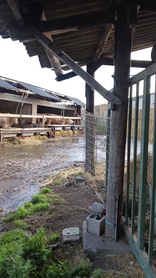 TikTok video thumbnail by roukinfer