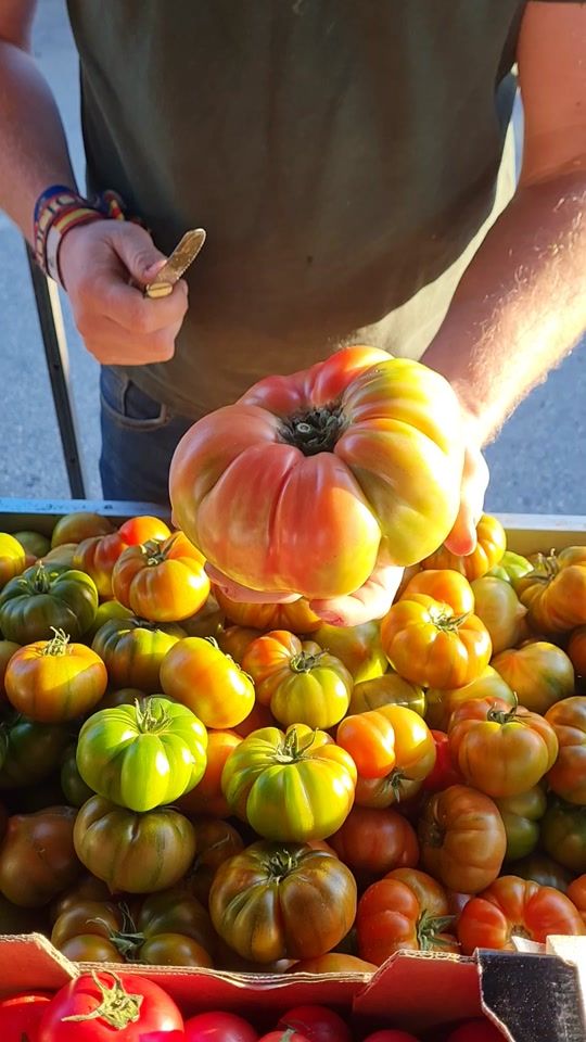 TikTok video thumbnail by carmelopele