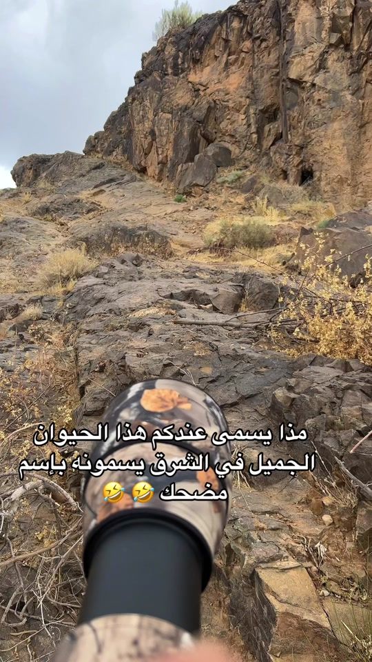 TikTok video thumbnail by widarphotographe