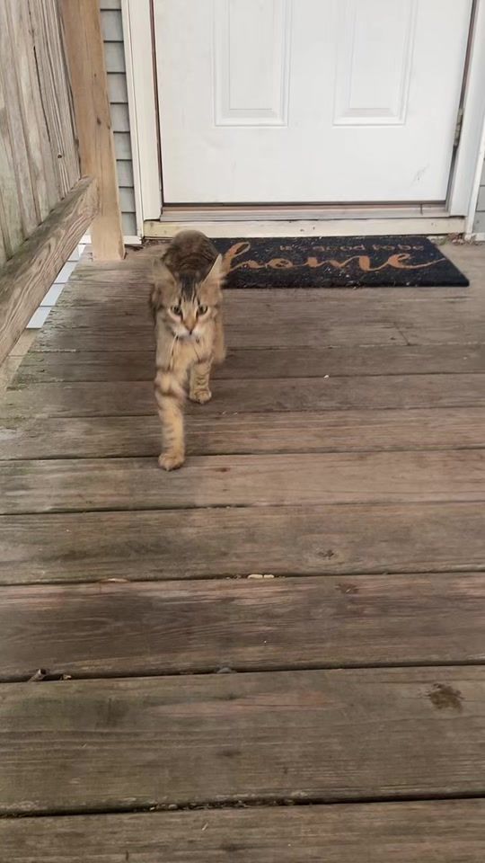 TikTok video thumbnail by user82929192920