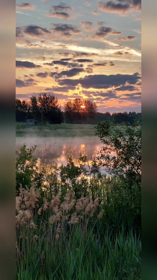 TikTok video thumbnail by anita.degle