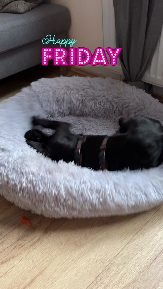 TikTok video thumbnail by timbucktu8