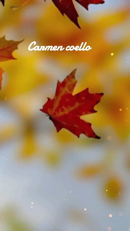 TikTok video thumbnail by coellolaredocarmen