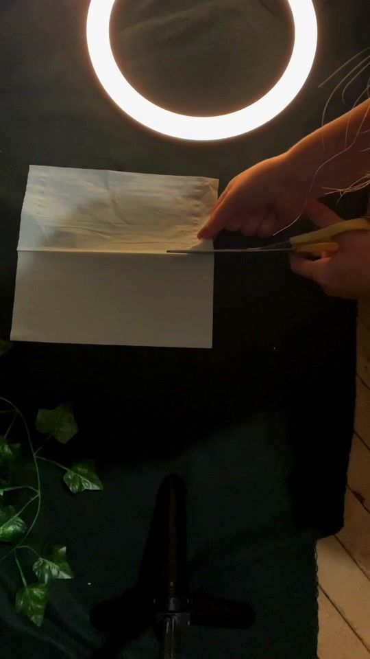 TikTok video thumbnail by snaildostuff