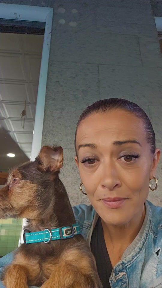 TikTok video thumbnail by claysica