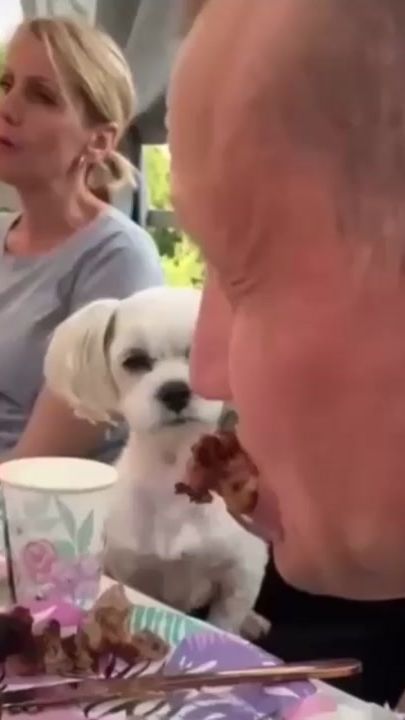 TikTok video thumbnail by icecubezamani