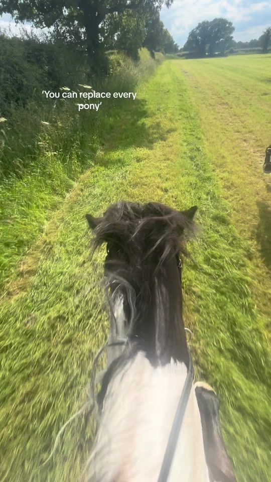 TikTok video thumbnail by ruby.johnson.eq