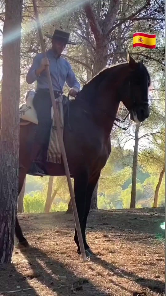 TikTok video thumbnail by drakete65