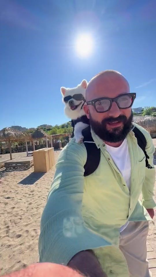 TikTok video thumbnail by romania
