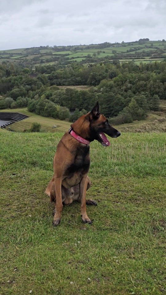 TikTok video thumbnail by th3voic3new