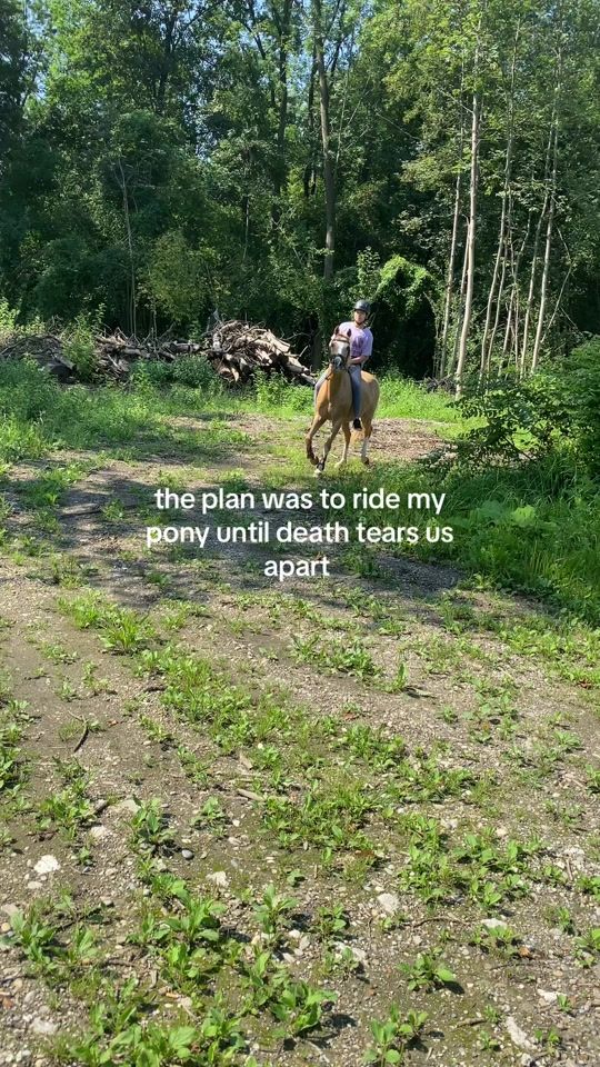 TikTok video thumbnail by user280520233